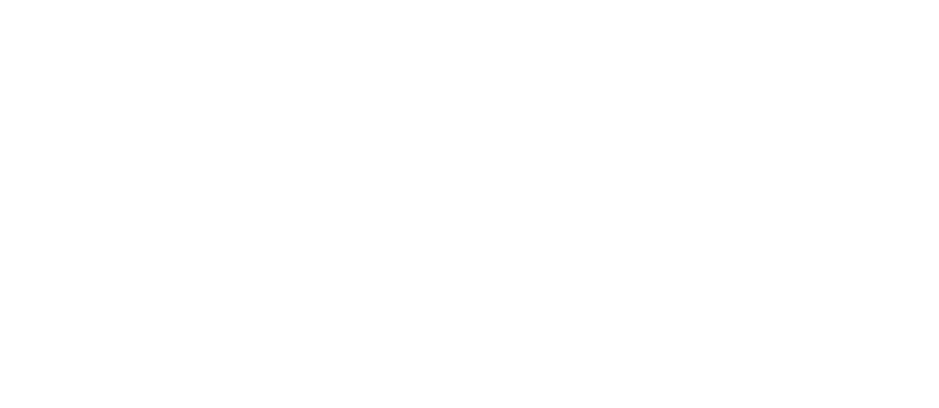 The Global Fund